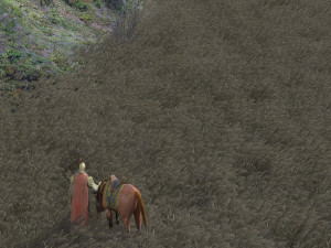 Wheat field 3D मॉडल