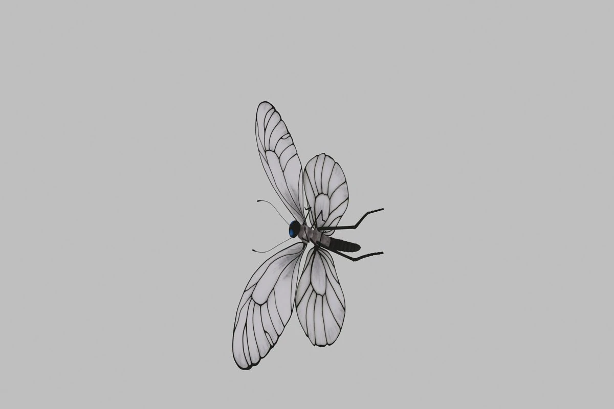 Butterfly 3D Model .c4d .max .obj .3ds .fbx .stl .blend