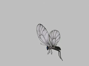 Butterfly 3D Model