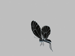 Butterfly 3D 模型