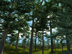Pine forest 3D-Modell