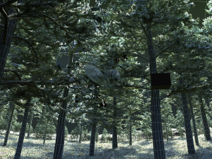Pine forest 3D Модель