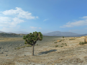 Mine 3D-Modell