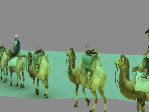 Camel team 3D Model