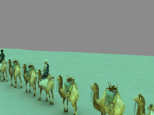 Camel team Modèle 3D