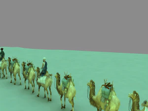 Camel team 3D Model