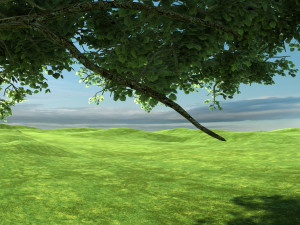 Vine 3Dモデル