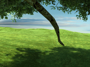 Vine 3D 模型