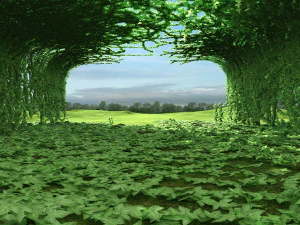 Vine 3D Model