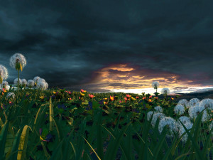 Dandelion Modello 3D