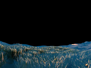 Dandelion 3D Model