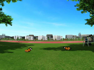 Basketball court 3D Model