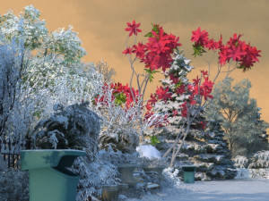 Snow scene 3D Model