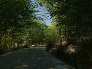 Bamboo forest 3D Model