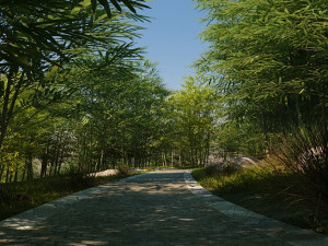 Bamboo forest Modelo 3D