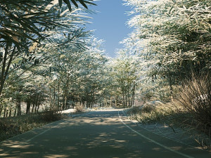 Bamboo forest Modelo 3D