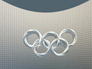 Five Ring Flag 3D Model