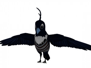 Cartoon parrot Modelo 3D