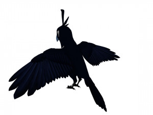 Cartoon parrot 3D Model