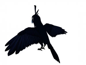 Cartoon parrot 3D Model