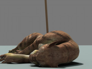 Saber-toothed tiger Modelo 3D