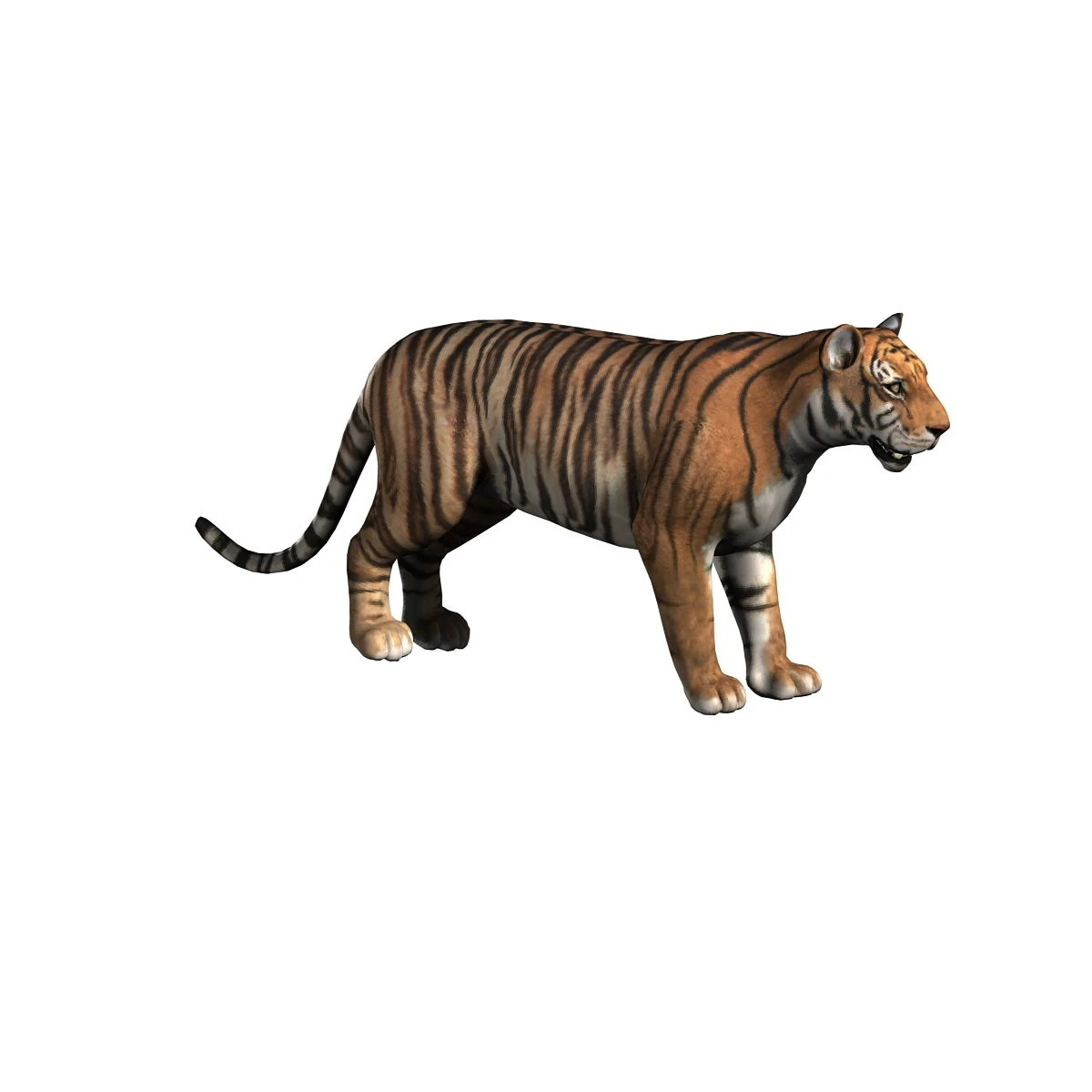 Tiger 3D Model .c4d .max .obj .3ds .fbx .stl .blend