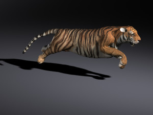 Tiger 3D मॉडल