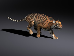 Tiger 3D मॉडल