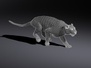 Tiger 3D मॉडल