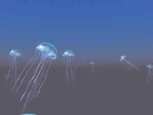 Jellyfish Modelo 3D