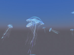 Jellyfish Modelo 3D
