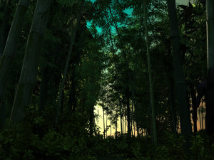 Bamboo forest Modelo 3D