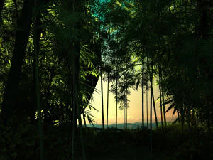 Bamboo forest 3D Model