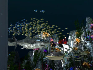 Seabed 3D Model