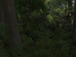 Forest Modèle 3D