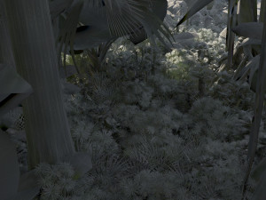 Forest Modèle 3D