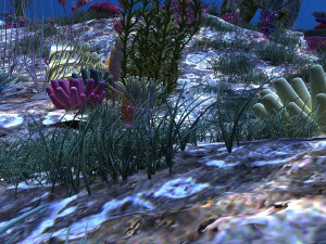 Seabed 3D Model
