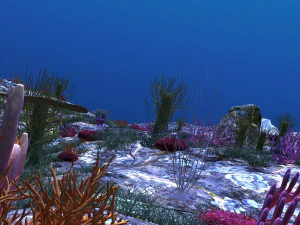 Seabed 3D Model