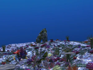 Seabed 3D Model