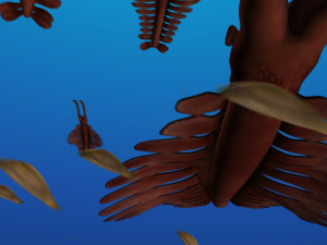School of fish Modelo 3D