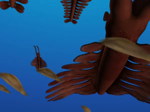 School of fish 3D Model