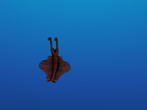 School of fish Modelo 3D