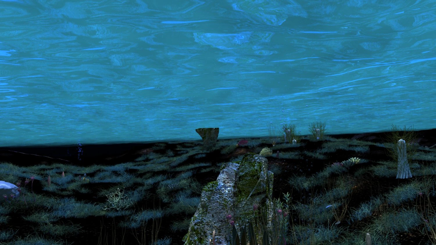 Seabed 3D Model .c4d .max .obj .3ds .fbx .stl .blend 