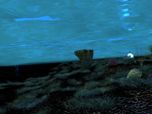 Seabed 3D Model