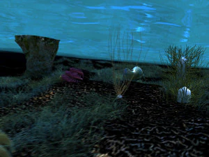 Seabed 3D Model