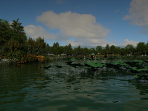 Dragon boat Modelo 3D
