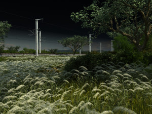 Lake 3Dモデル