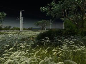 Lake 3D Model