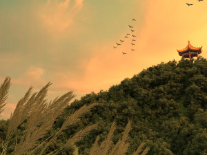 Gazebo 3D 모델