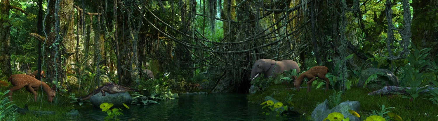 Rainforest 3D Model .c4d .max .obj .3ds .fbx .stl .blend 